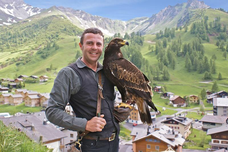 Falknerei Galina in Malbun
