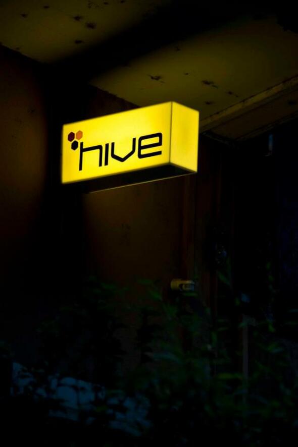 Hive