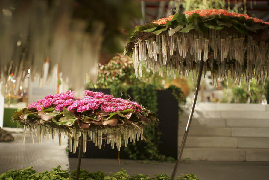 Flowers Maarsen