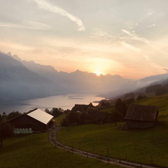 Flossbauen am Walensee mit Grill- und Trottiplausch