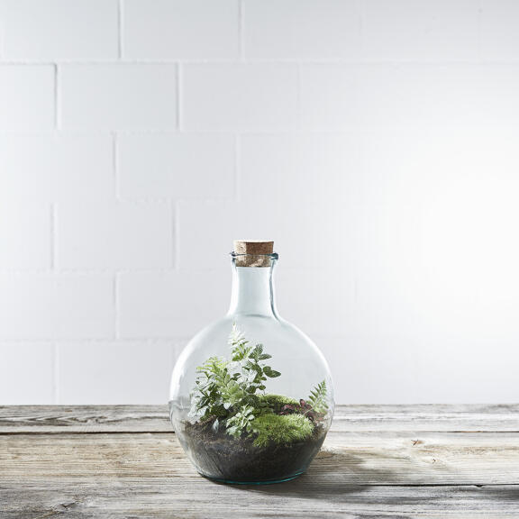 Bottle gardening workshop